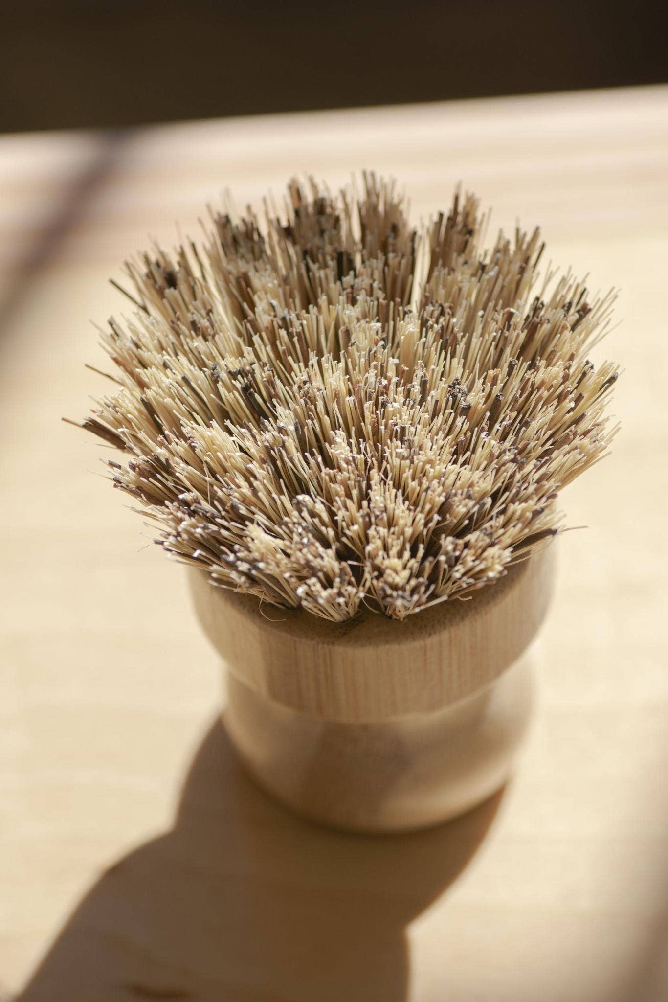 CASA AGAVE® Pot Brush White Teakwood - No Tox Life®