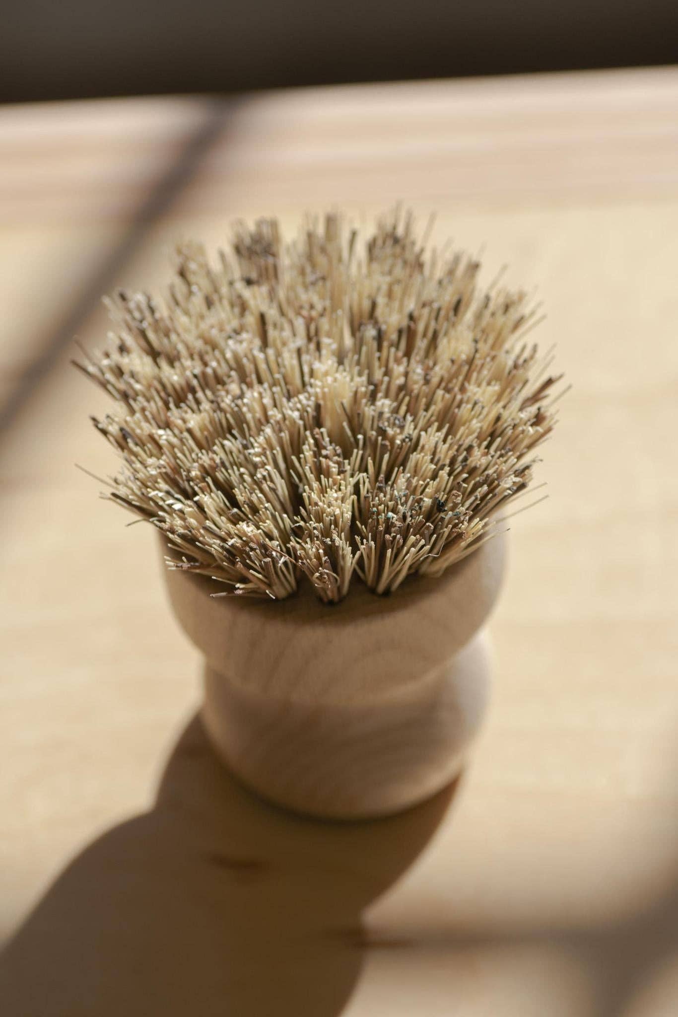 CASA AGAVE® Pot Brush White Teakwood - No Tox Life®