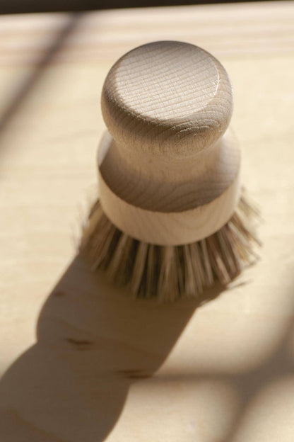 CASA AGAVE® Pot Brush White Teakwood - No Tox Life®