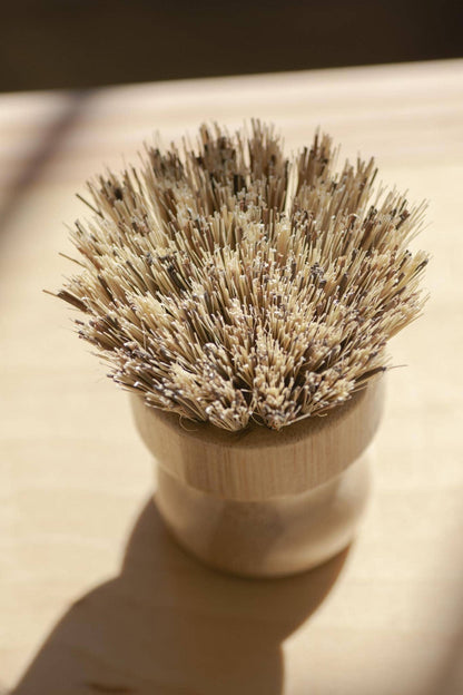 CASA AGAVE® Pot Brush White Teakwood - No Tox Life®